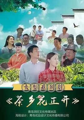 《茶乡花正开》：乡村振兴甜宠剧！看小镇青年如何用科技玩转茶文化！