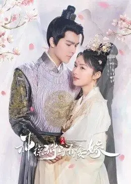 《神探驸马请接嫁》：爆笑古装探案喜剧，高智商驸马的甜蜜追妻路！