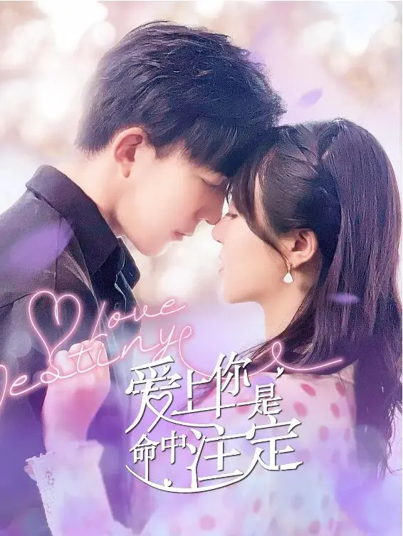《爱上你是命中注定》：一场命中注定的爱情喜剧？深度解析与意外反转！